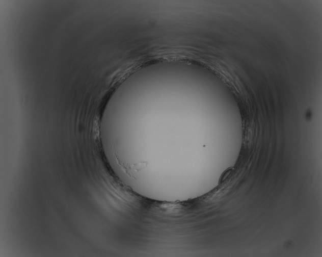 X0000095670478200801081044