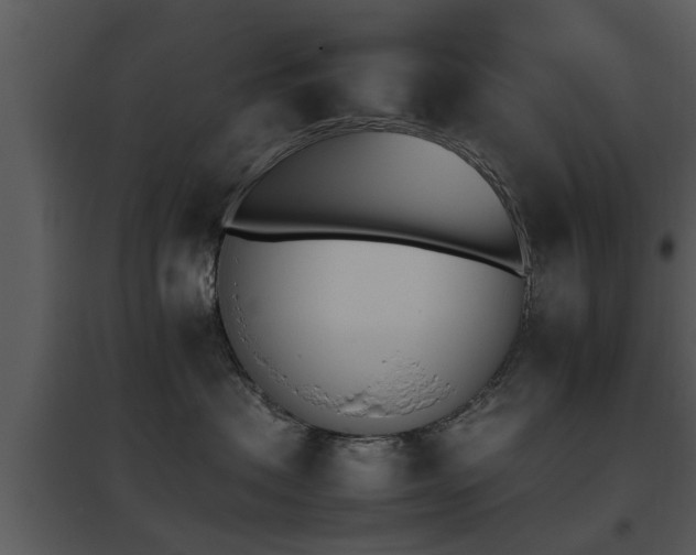 X0000095670479200801081044
