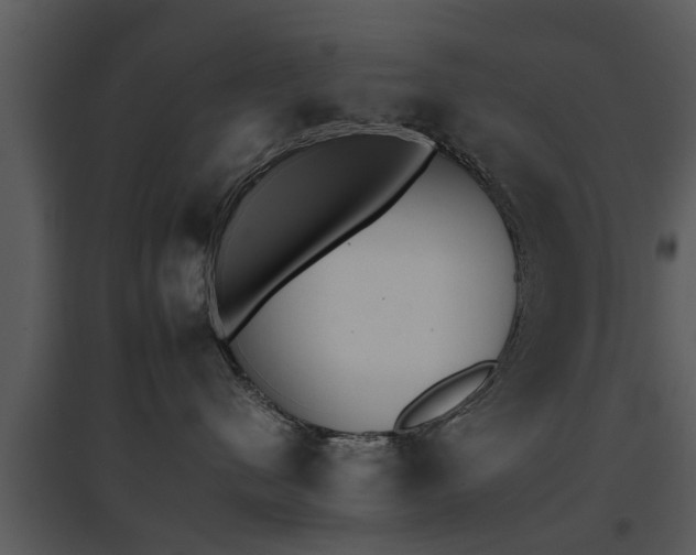 X0000095670480200801081044