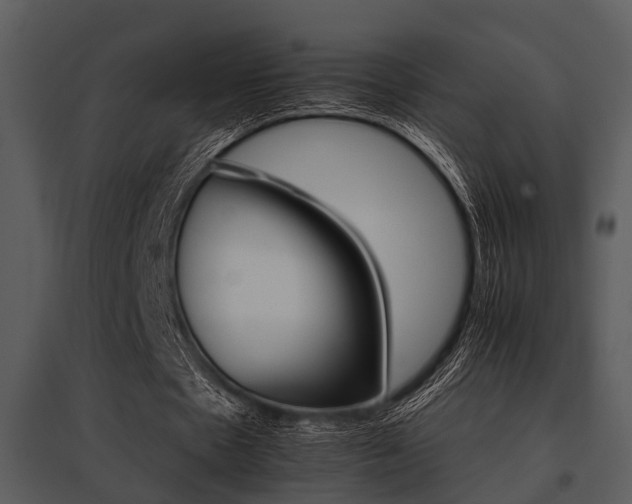 X0000095670481200801081043