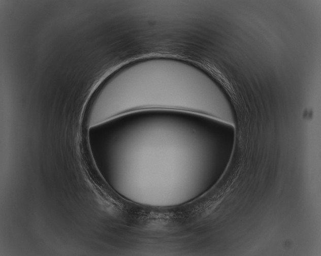 X0000095670484200801081043