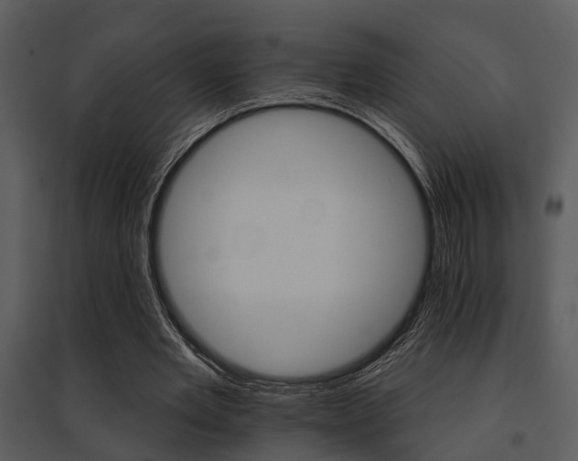 X0000095670485200801081043