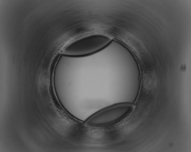 X0000095670486200801081043