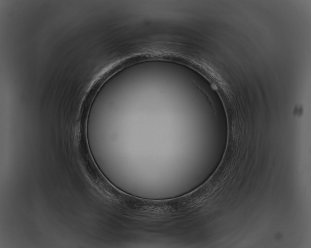 X0000095670488200801081043