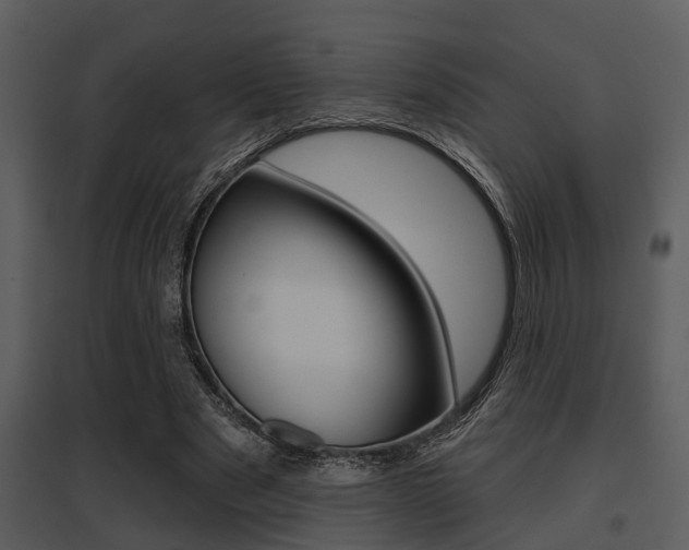 X0000095670489200801081043