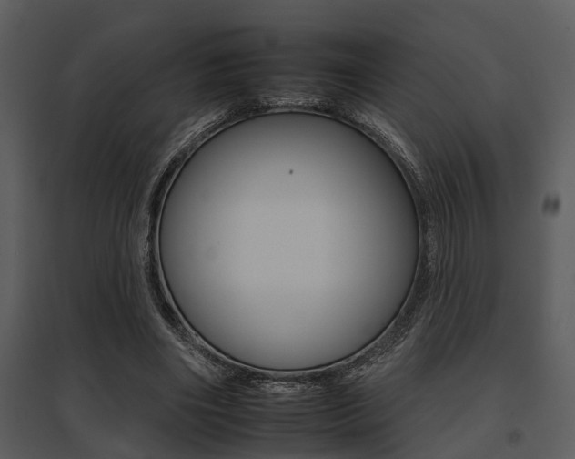 X0000095670490200801081043