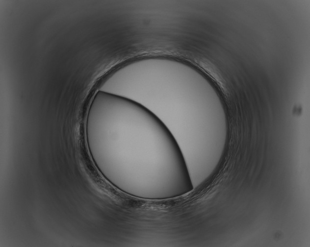 X0000095670491200801081043