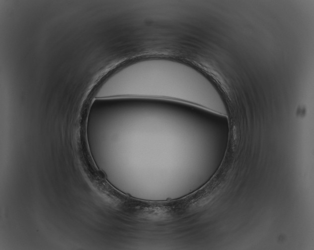 X0000095670492200801081043