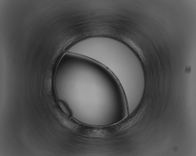 X0000095670493200801081043