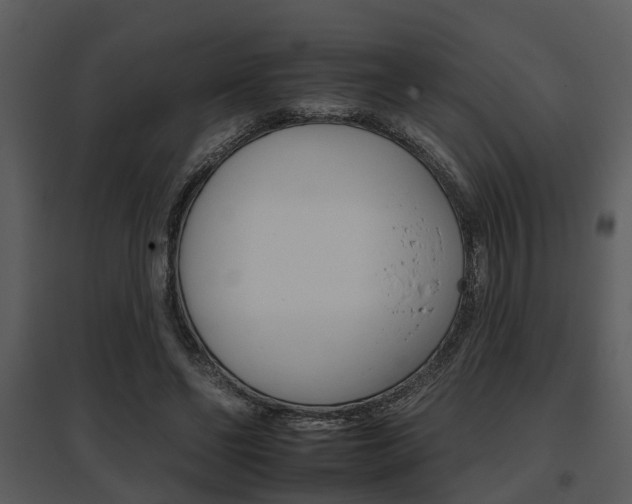 X0000095670494200801081043