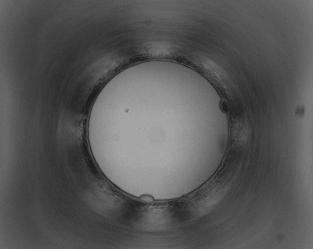 X0000095670495200801081043