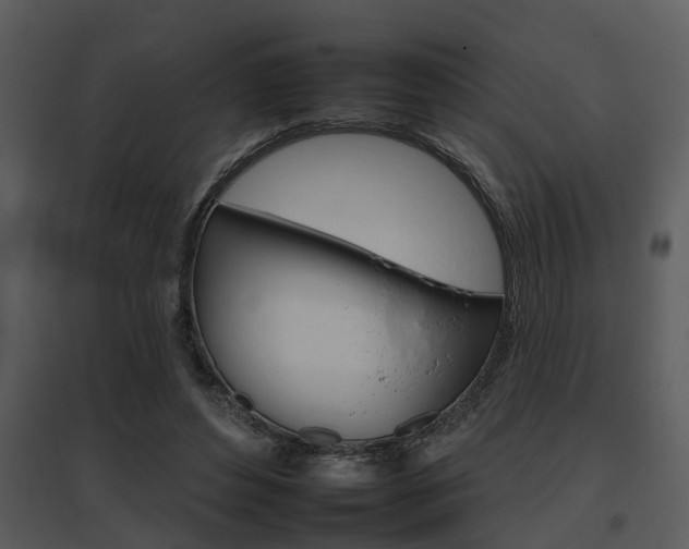 X0000095670496200801081043