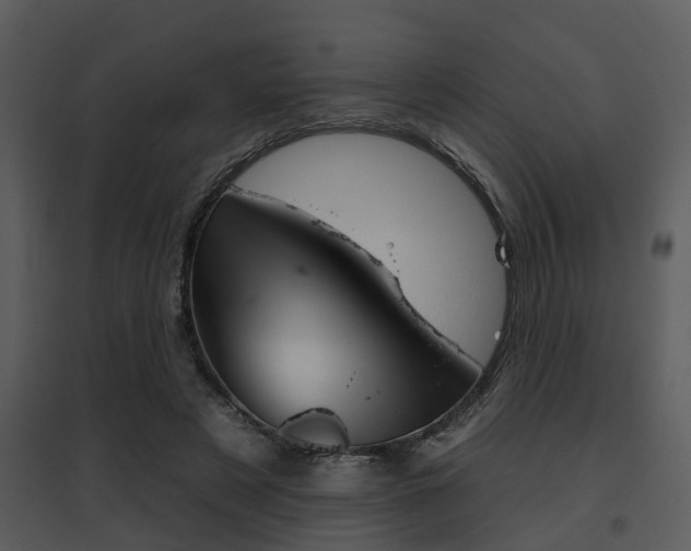 X0000095670497200801081043