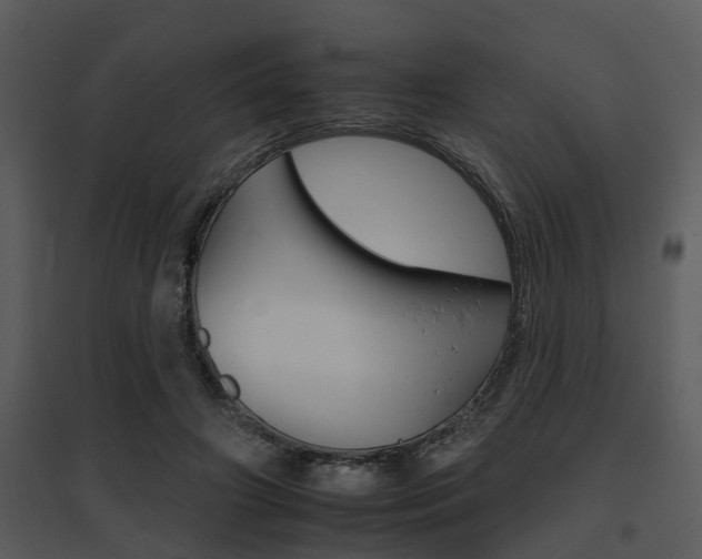 X0000095670498200801081043