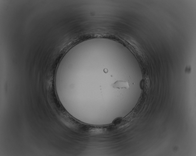 X0000095670499200801081043