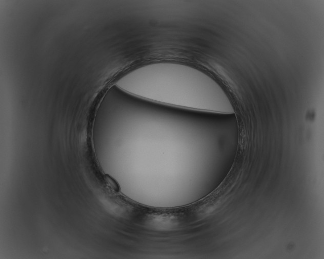 X0000095670500200801081043