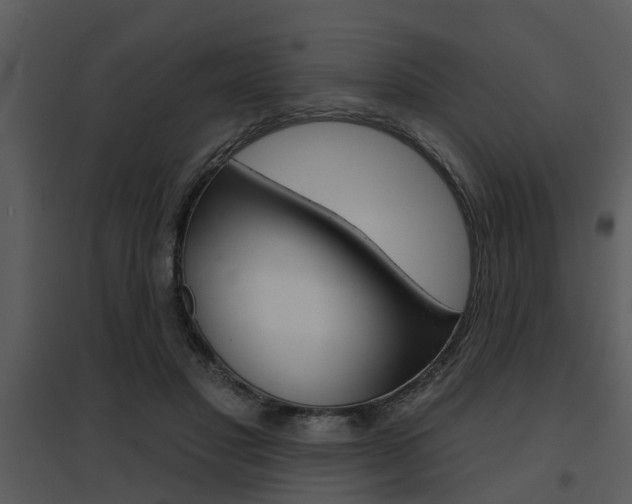 X0000095670501200801081043
