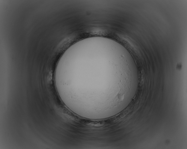 X0000095670502200801081043