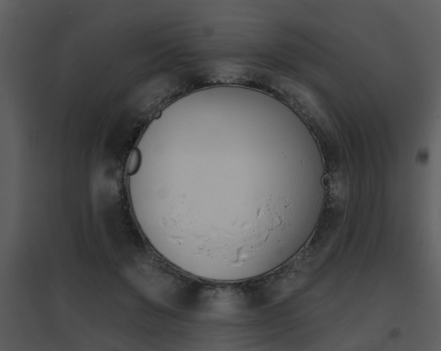 X0000095670503200801081043