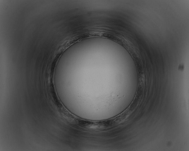 X0000095670504200801081043