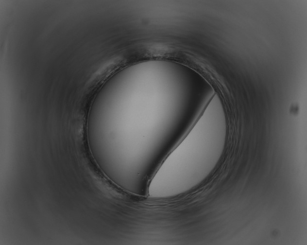X0000095670505200801081043
