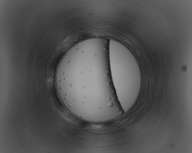 X0000095670507200801081043