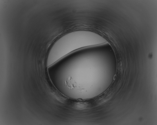 X0000095670508200801081043