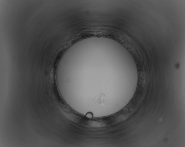 X0000095670510200801081043