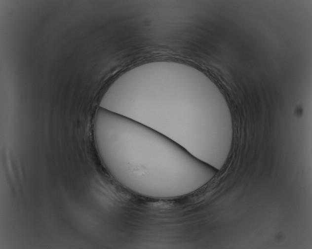 X0000095670511200801081043