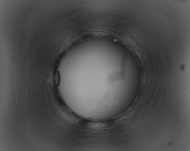 X0000095670512200801081043