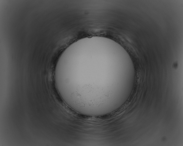 X0000095670515200801081043