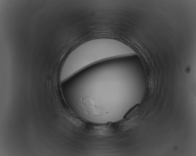 X0000095670516200801081043