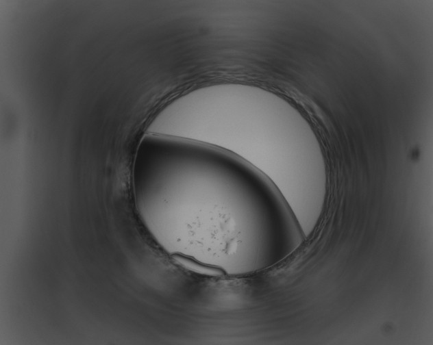 X0000095670517200801081043