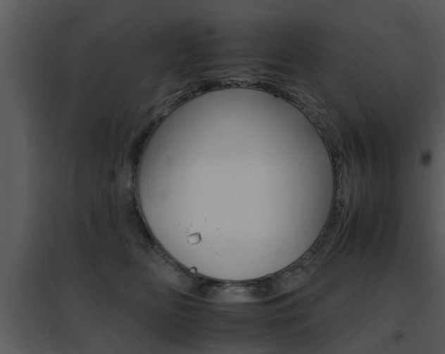 X0000095670518200801081043