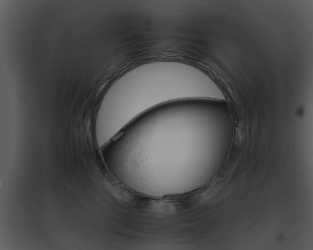 X0000095670520200801081043
