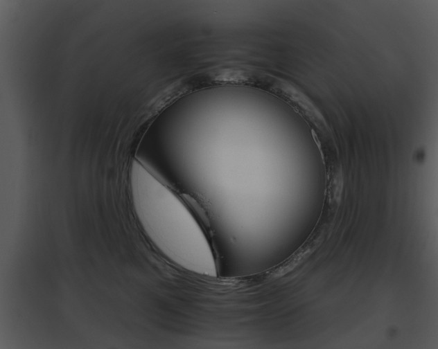 X0000095670521200801081043