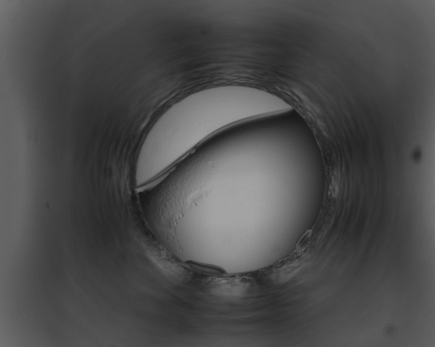 X0000095670524200801081042