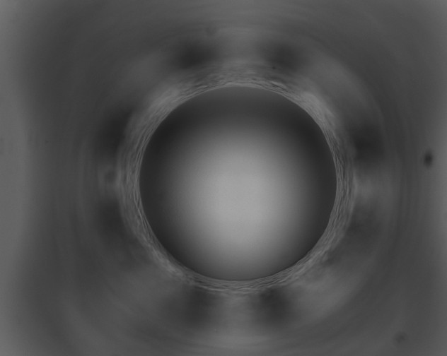 X0000095670525200801081042