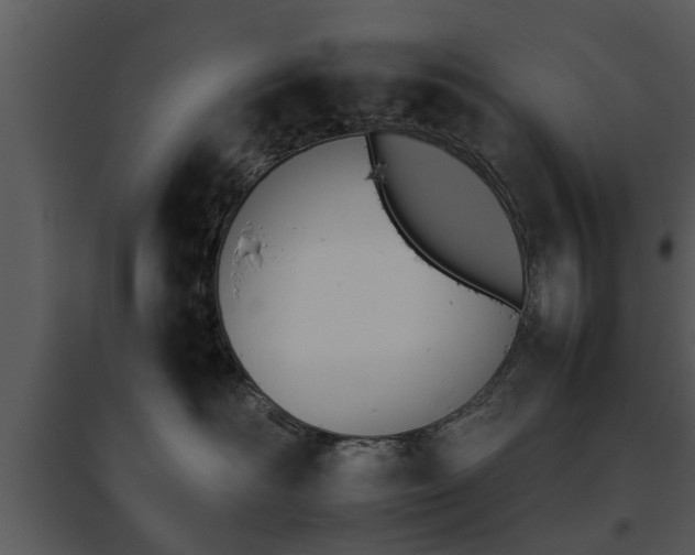 X0000095670526200801081042