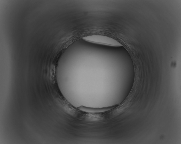 X0000095670528200801081042