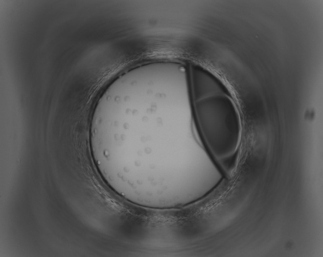 X0000095670529200801081042
