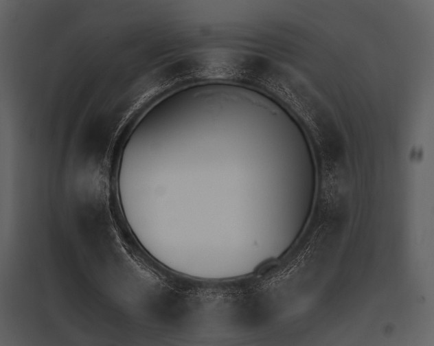 X0000095670530200801081042