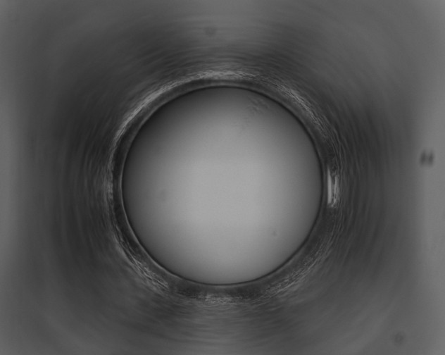 X0000095670531200801081042