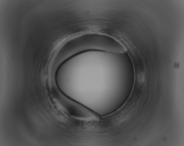 X0000095670532200801081042