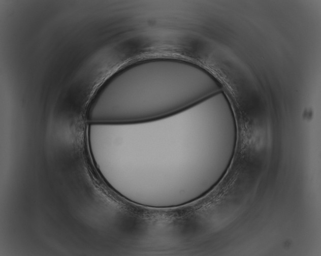 X0000095670533200801081042