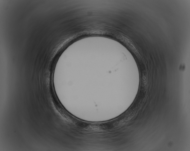 X0000095670534200801081042