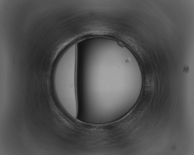 X0000095670535200801081042