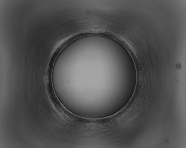 X0000095670536200801081042