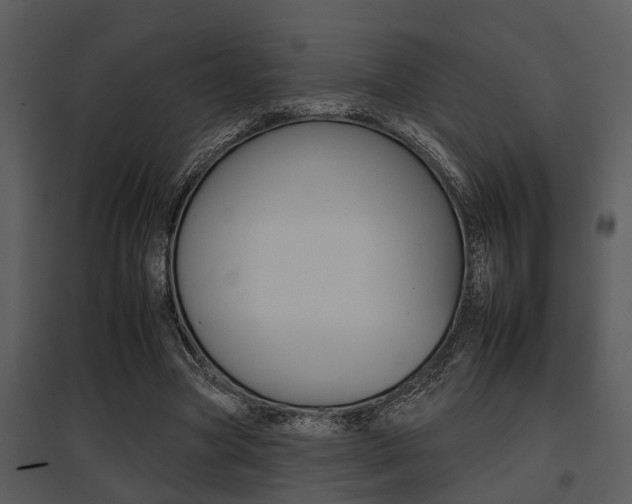 X0000095670537200801081042
