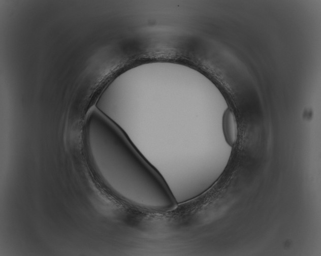 X0000095670538200801081042